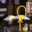 명희네분식