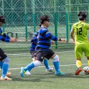 시각장애인 이미지