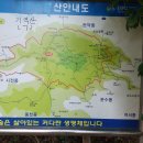 망마경기장 주경기장 이미지