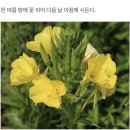 럽들아 심장 아프다 ㅈㅇ 뉴이스트 이미지