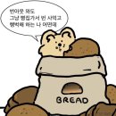 씨피코트 | 일상의 부스러기가 진짜 빵 부스러기 였던 것.