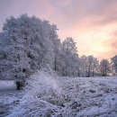 음악세계 이미지