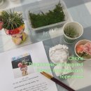 클로리스 이미지