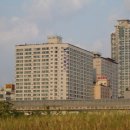 스타팰리스2 이미지