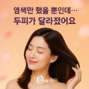 큐 | “염색만 했을 뿐인데… 두피가 달라졌어요”｜큐사랑 솔직 후기와 창업 정보까지