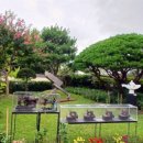 백양 메리야스 이미지