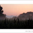 해뜨는 숲속 이미지