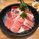 만덕그린코아1 | 부산만덕동술집 만덕참치맛집 담락참치일잔 신만덕직영점 참다랑어 모듬세트 후기