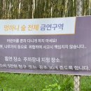 남강플라워