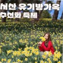 프리한19 야장 명소 가성비 끝판왕 술집들이 인기 있는 이유