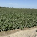 신강농장 이미지