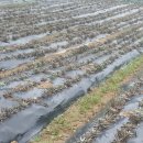 솔골농장 이미지