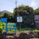 예래작은숲 이미지