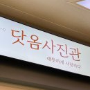 닷옴사진관 이미지