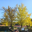 은행마을 이미지