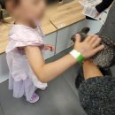 구포동물병원 | 부산 광안리 아이랑 가볼만한 곳 실내 동물카페 세븐테마카페 솔직 후기