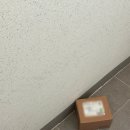 본그린약국 이미지