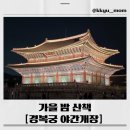 씨유종로K트윈타워점 | 🌙밤의 경복궁, 야경 가득한 경복궁 야간개장 후기✨