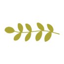 데일리팡부전점 이미지