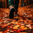 정읍시기-비상-007 | 내장산 단풍 여행 완벽 준비: 꼼꼼한 준비물 체크리스트로 최고의 추억 만들기