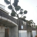 오아시타호스텔 이미지