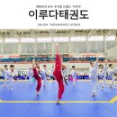 경희대 석사 태권나라 태권도장 | NO.1 계룡 두마초 태권도, 아이들의 배움이 세계로 이어지는 경희대 석사"이루다태권도"