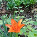 연필노래연습장 이미지