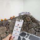 서귀포시 동부보건소 | Aug. 2025_ 나홀로 제주 3박4일 여행[2]