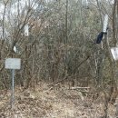 돌산공원 정상 이미지