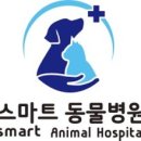 아이비 동물병원 이미지