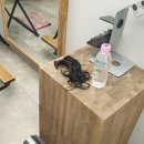 미장원by봄 | 청담동미용실 미장원by태현 | 탄일원장님 커트 솔직후기