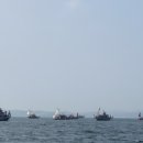 물반고기반 이미지