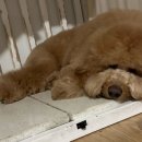 온동물병원 이미지