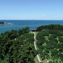 석호수산식당 이미지