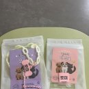 만능의료기 | 강아지인식표/강아지이름목걸이/야광목걸이/강아지이름표 100%실리콘으로 만든 카멜러버 강아지인식표