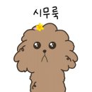 댕그리 - 동두천시 중앙로33번길 67-52 | 댕그리