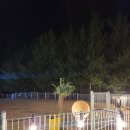 글램독 양양 | 강원도 애견펜션 [글램독 양양] 내돈내산 후기