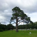 미리 가 본 가을문학기행 이미지