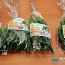 김명환농장 Daum카페