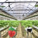 경순농장 이미지