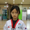 신흥태권도 이미지