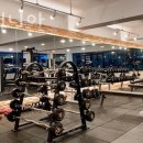 헬스 매니아 이미지