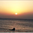 포두농장 이미지