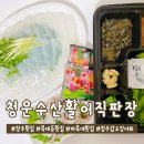 청주 복대동 횟집 청운수산활어직판장 하복대점 갑오징어회
