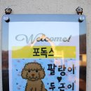 포독스2 이미지