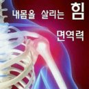 ★★ 신비의 불로초「톳」 "톳" 의 효능!!★★ 이미지