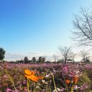 여주-0325 이미지