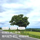 비에이 패치워크 로드 후기｜세븐스타나무보다 오래 기억에 남은 풍경