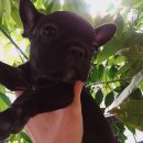 소향로55-15 이미지