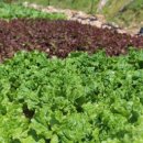 (주)드림유통 이미지